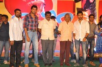 Nuvva Nena Audio Launch